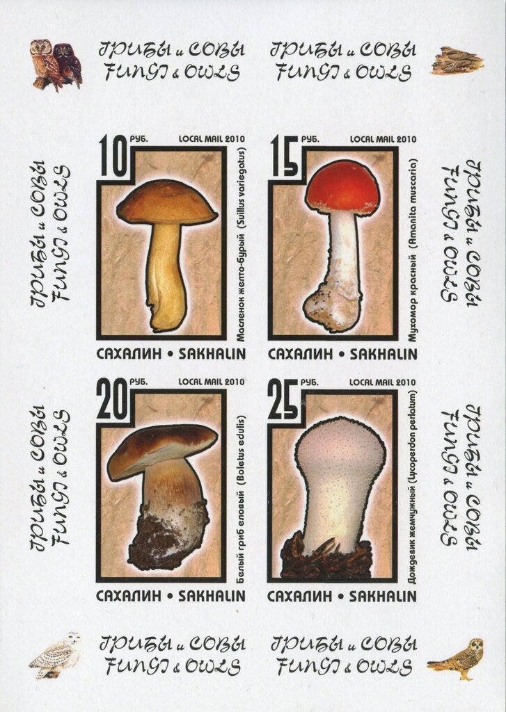 Mushrooms