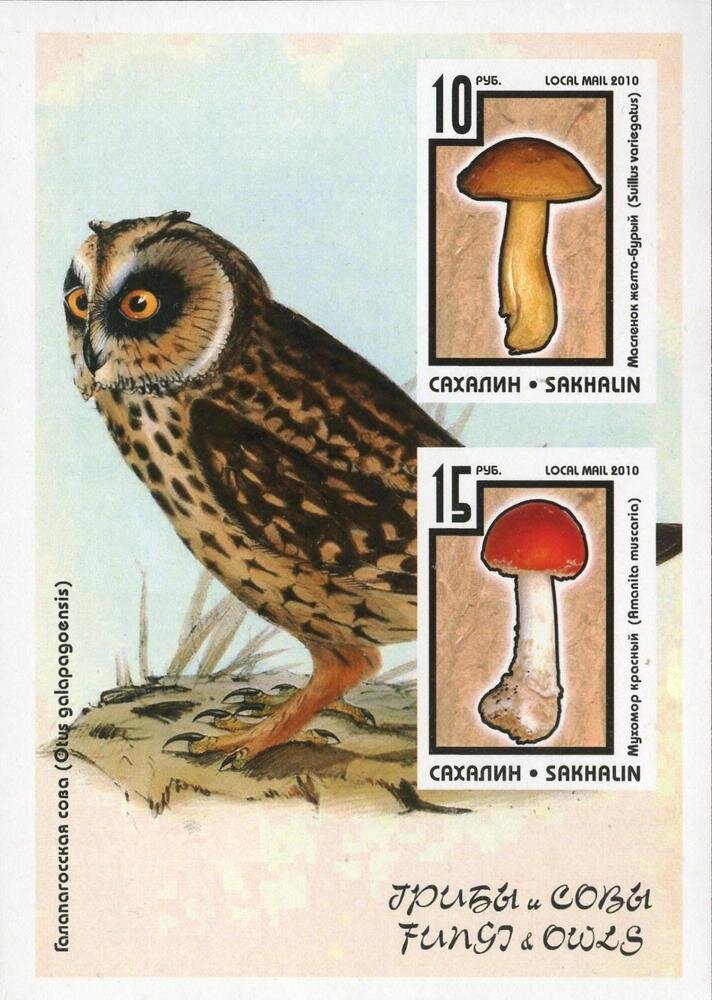 Mushrooms