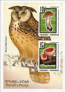 Mini Sheet, Mushrooms, Cinderellas,  , Birds, Mushrooms, Owls