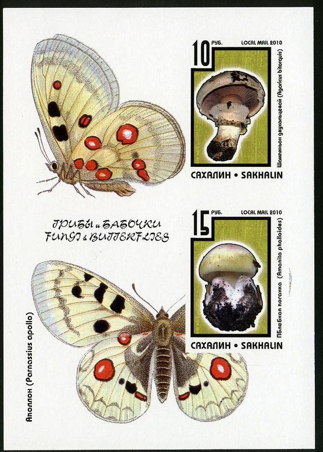 Mushrooms