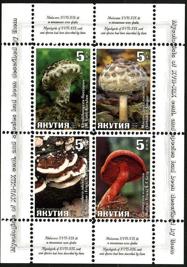 Mushrooms