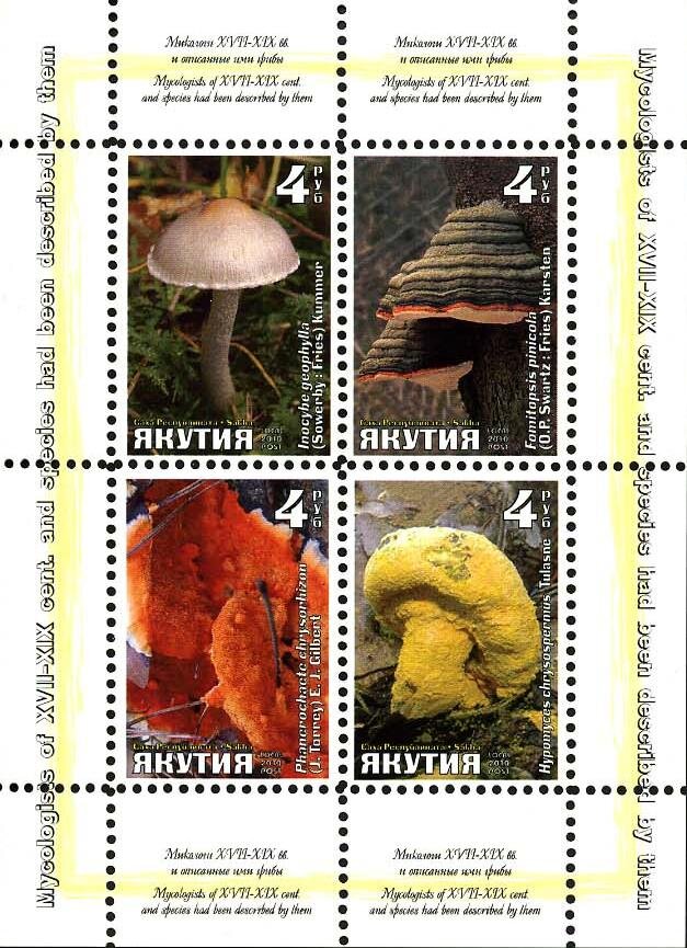 Mushrooms