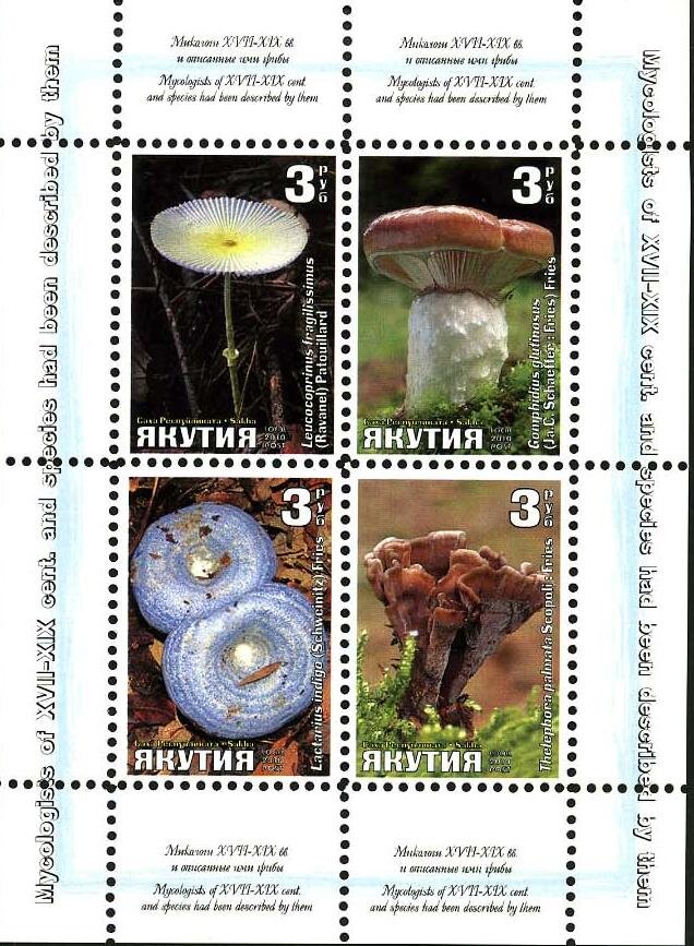 Mushrooms