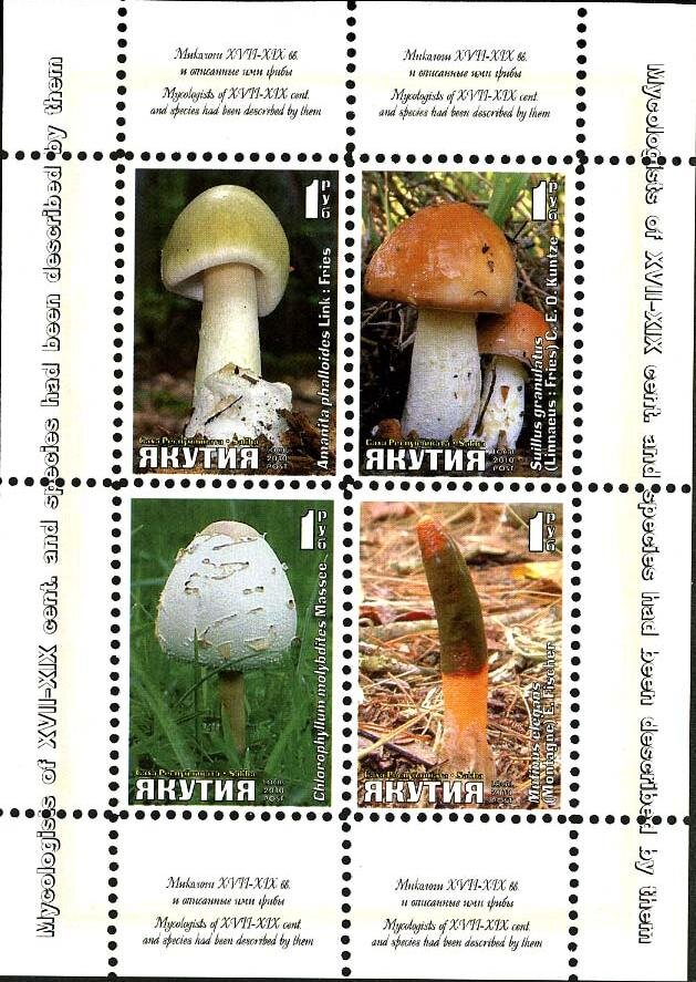 Mushrooms