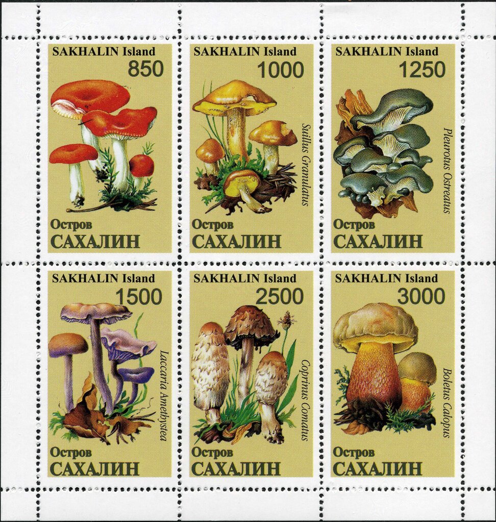 Mushrooms