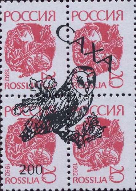 Owl