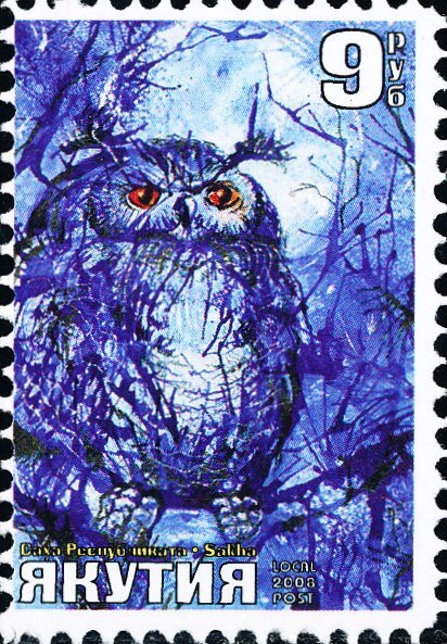 Owl