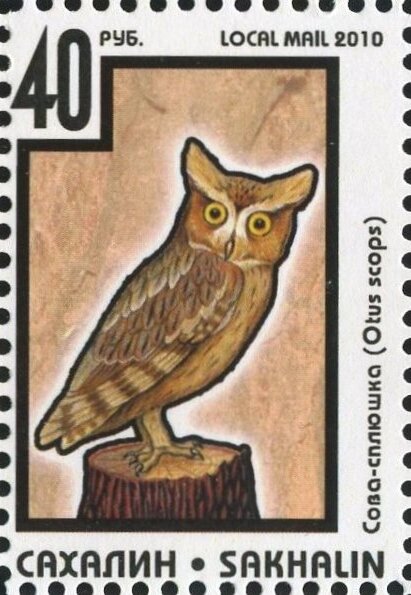 Owl