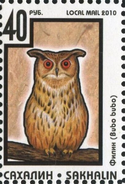 Owl