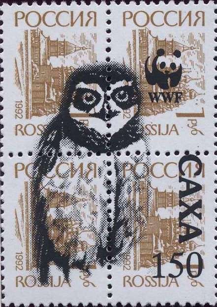 Owl WWF
