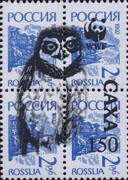 Owl WWF