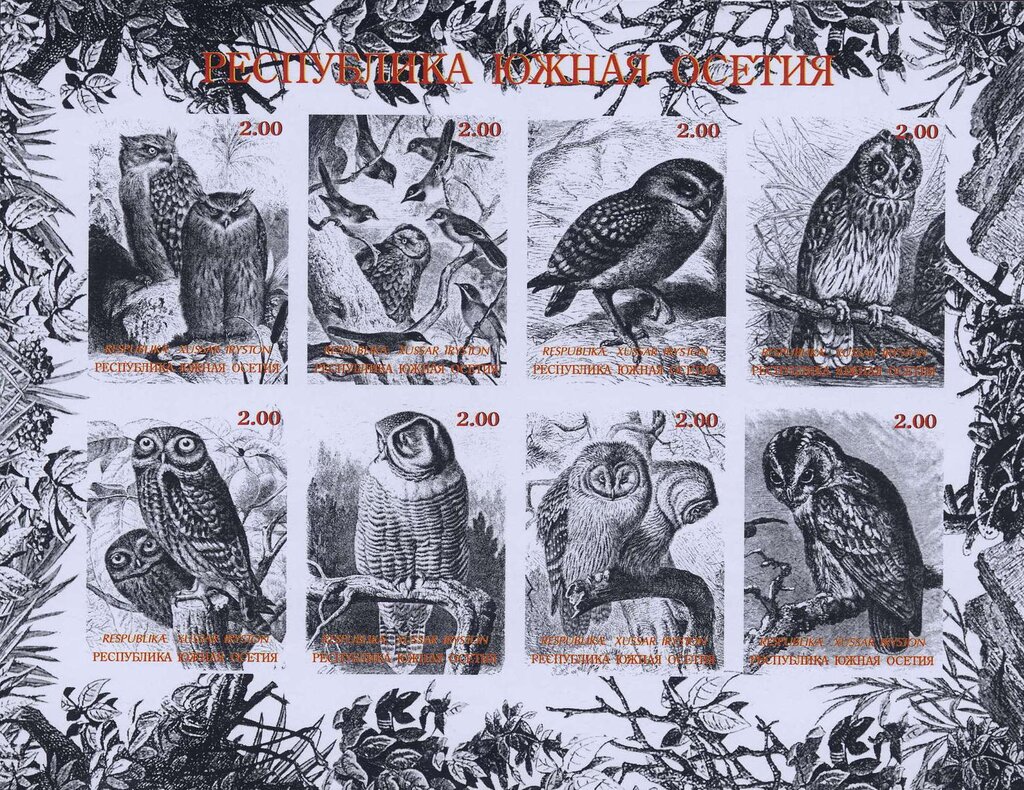 Owls