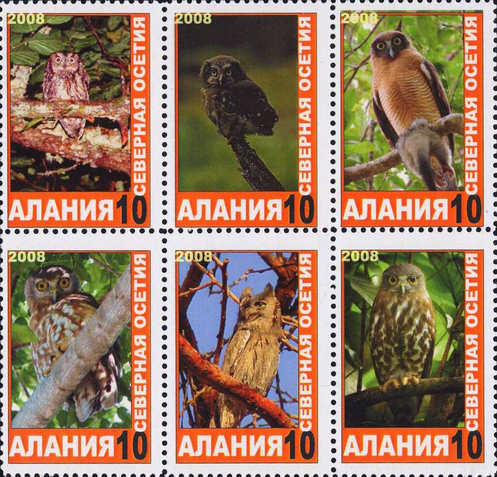 Owls