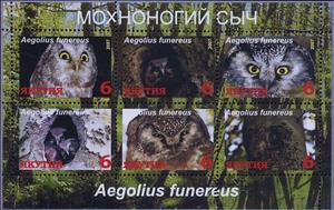 Mini Sheet, Owls, Cinderellas,  , Animals (Fauna), Birds, Owls