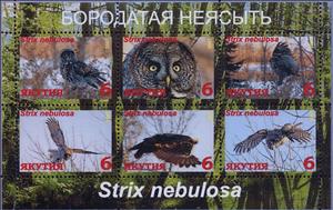 Mini Sheet, Owls, Cinderellas,  , Animals (Fauna), Birds, Owls