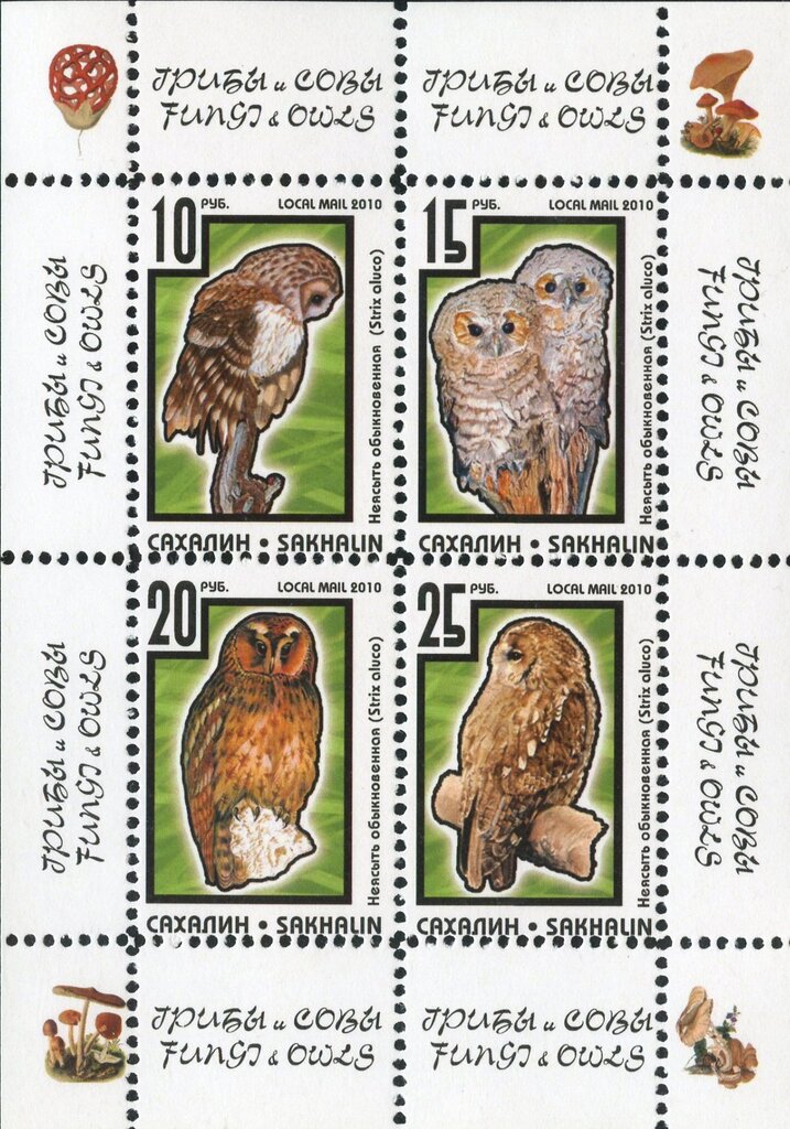 Owls