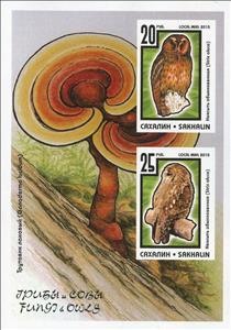 Mini Sheet, Owls, Cinderellas,  , Birds, Mushrooms, Owls