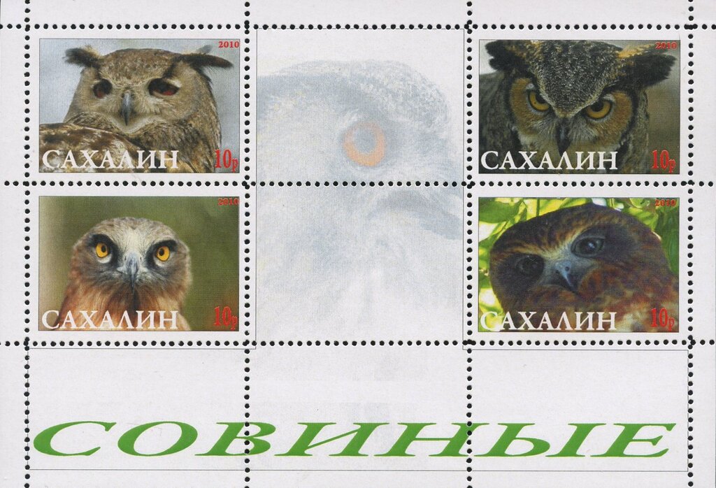 Owls