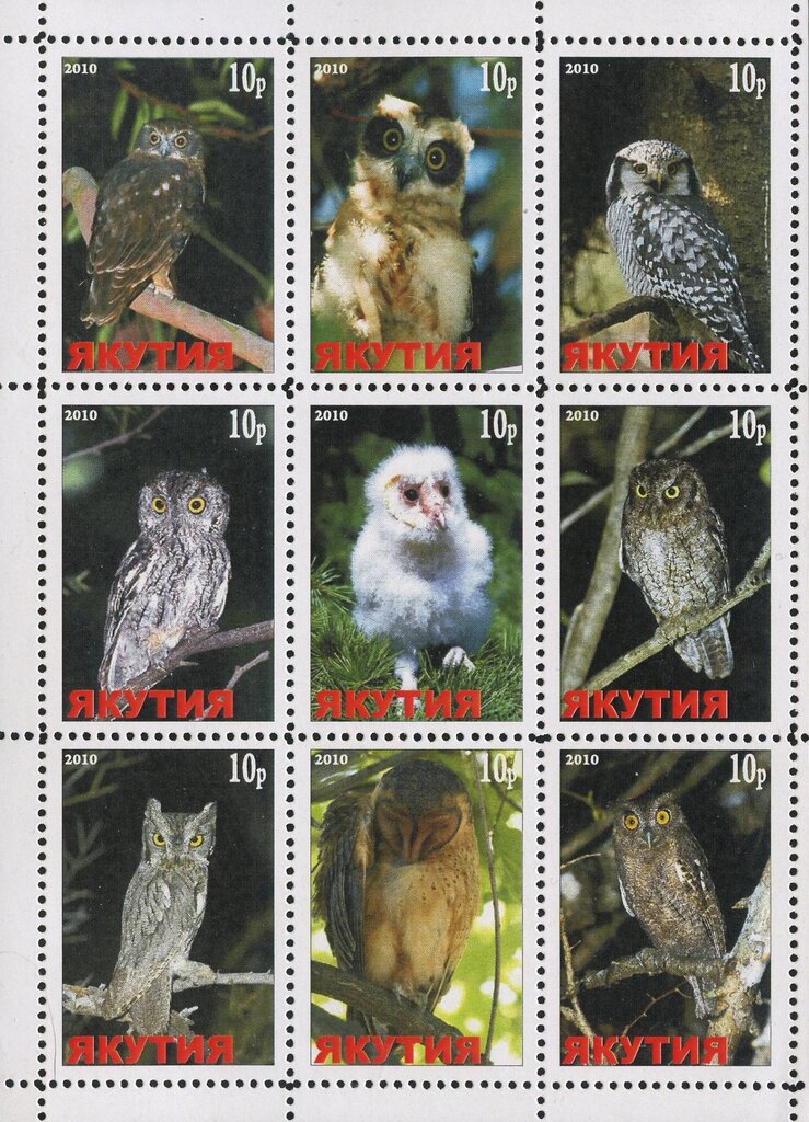 Owls