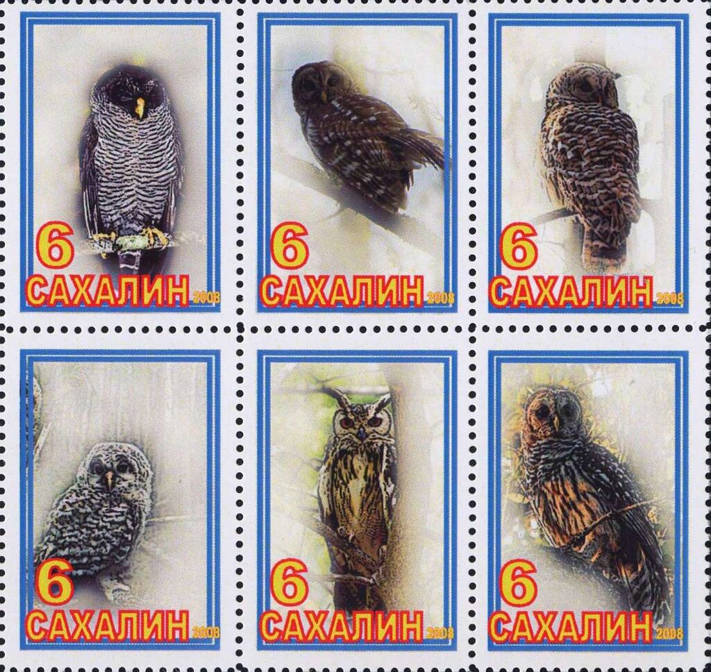 Owls