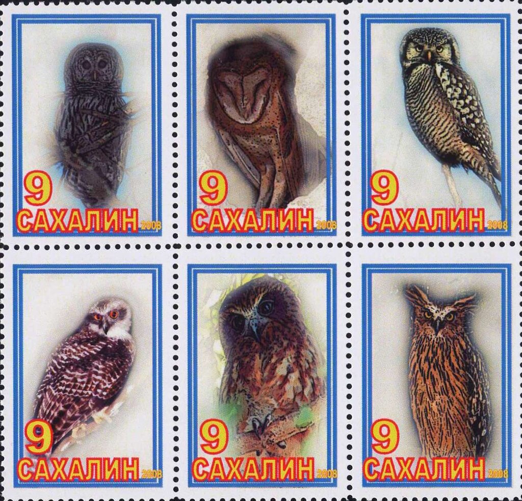 Owls