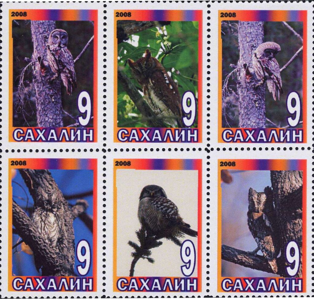 Owls