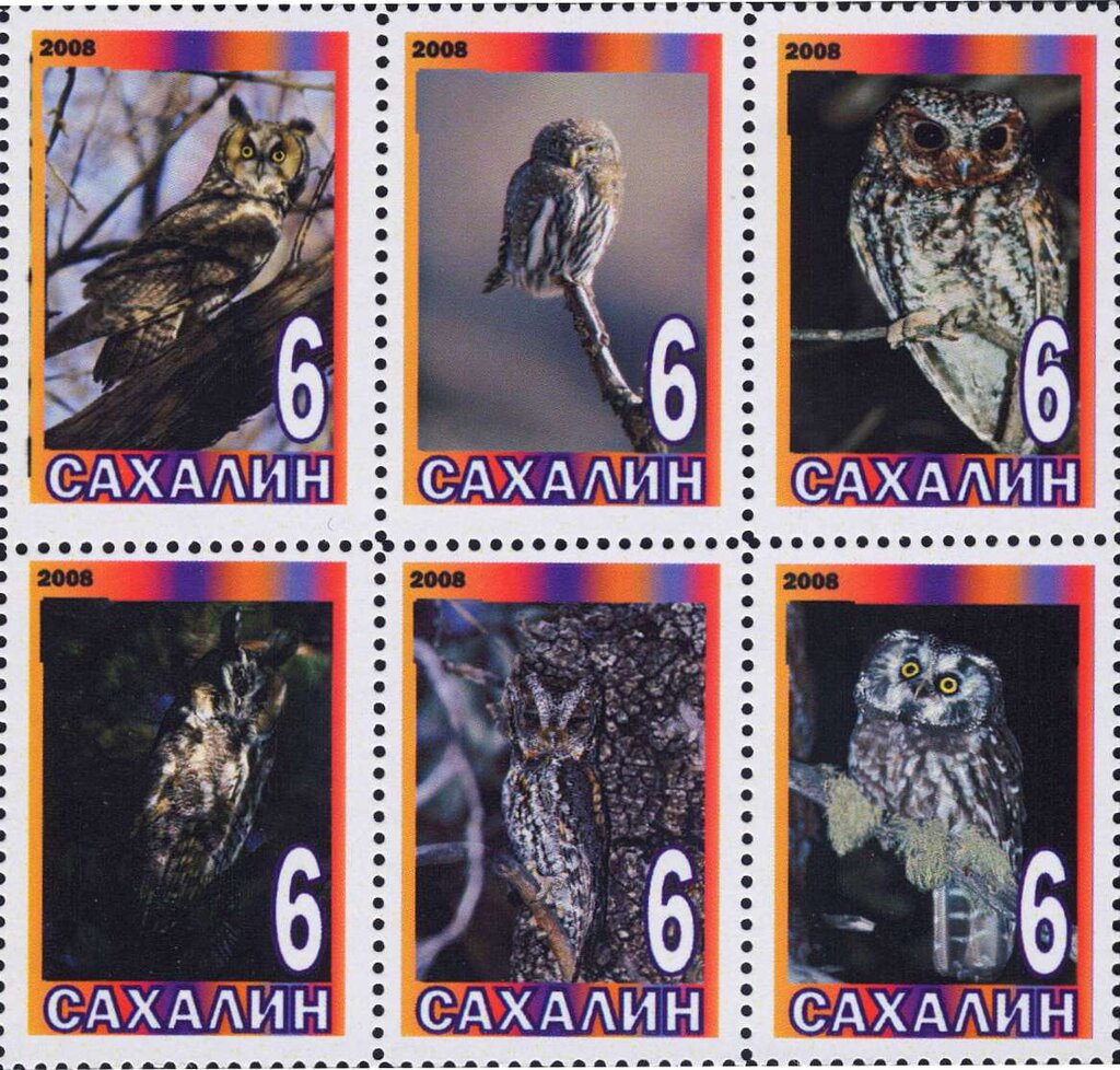 Owls