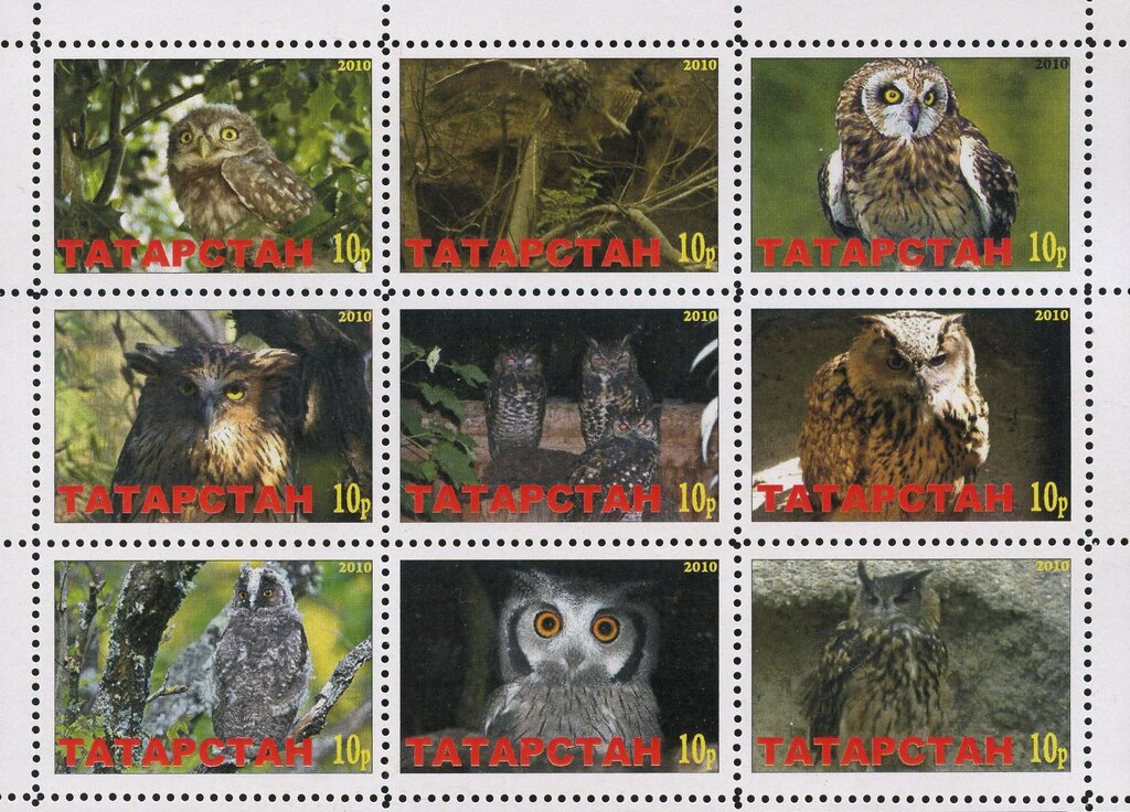 Owls