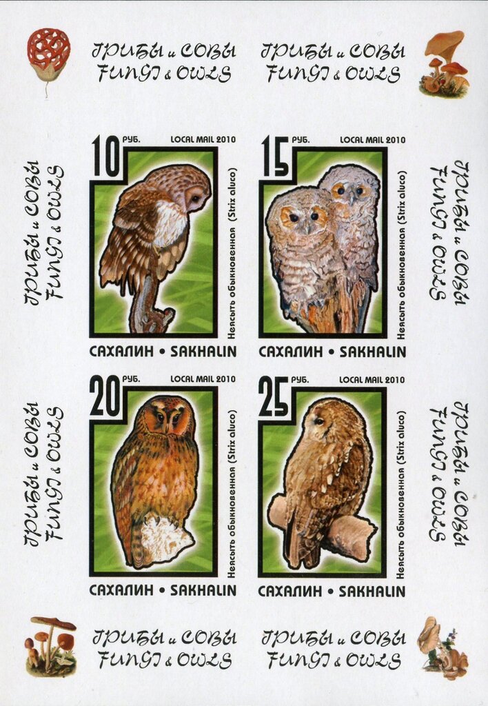 Owls