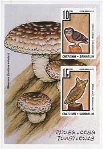 Mini Sheet, Owls, Cinderellas,  , Birds, Mushrooms, Owls