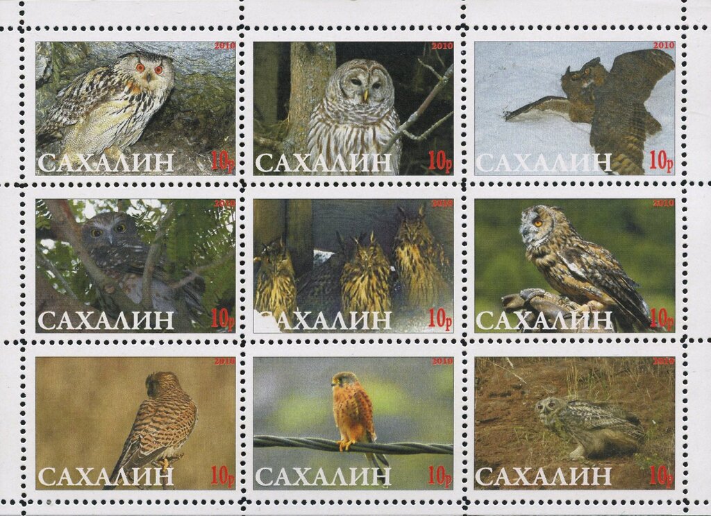 Owls