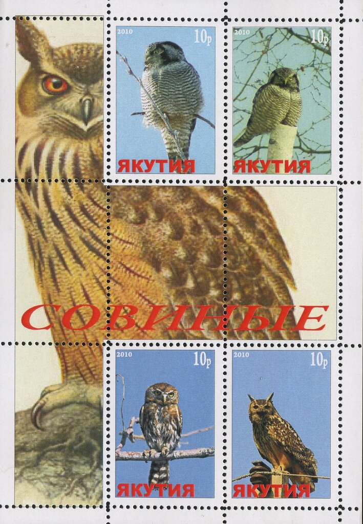 Owls