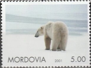 Polar Bear