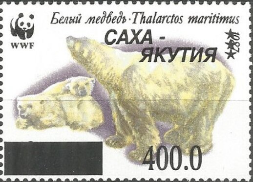 Polar Bears