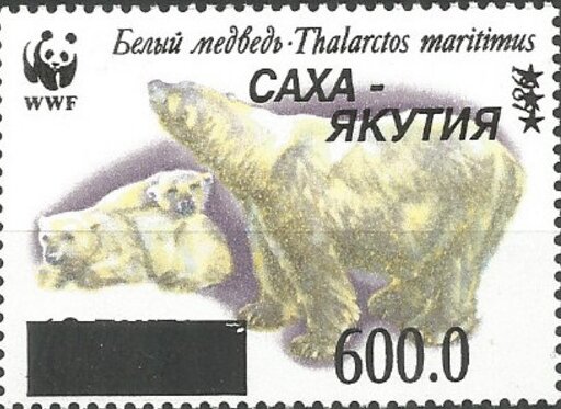 Polar Bears