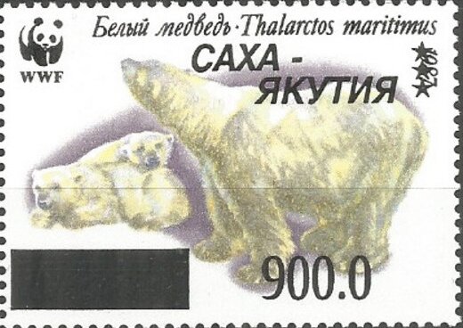 Polar Bears
