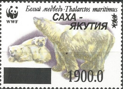 Polar Bears