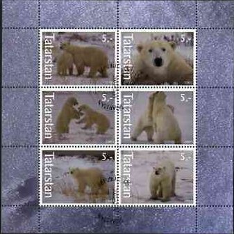 Polar Bears