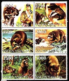 Se-tenant, Raccoons, Cinderellas,  , Animals (Fauna), Mammals, Raccoons