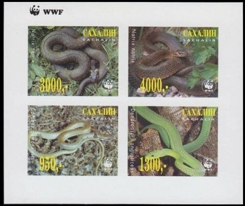 Snakes WWF