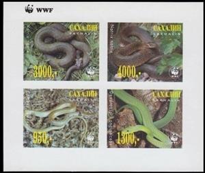 Mini Sheet, Snakes WWF, Cinderellas,  , Animals (Fauna), Snakes, WWF