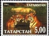 Tigers