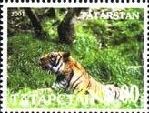 Tigers