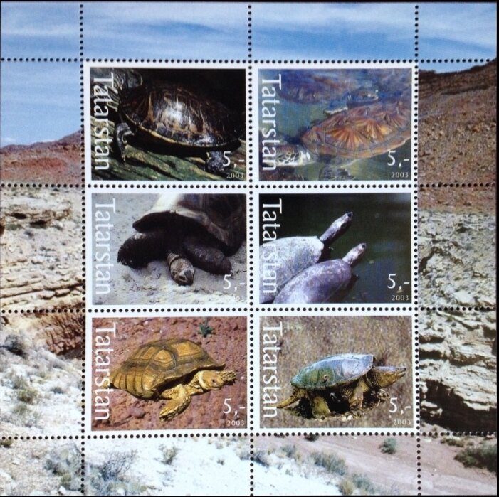 Turtles