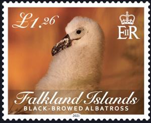 Stamp, Black-Browed Albatross (Thalassarche melanophris), Falkland Islands,  , Birds