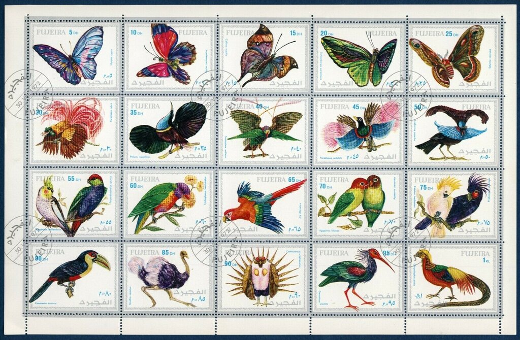 Exotic Butterflies and Birds