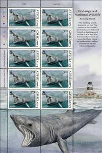 Mini Sheet, Basking Shark (Cetorhinus maximus), Guernsey,  , Animals (Fauna), C.E.P.T. / Europe, Fishes, Sea Life, Sharks