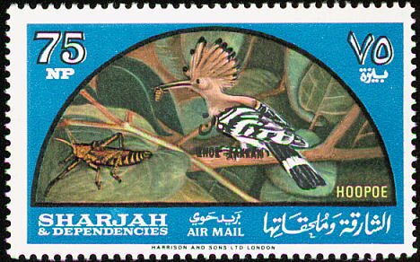 Stamp, Eurasian Hoopoe (Upupa epops), Khor Fakkan,  , Animals (Fauna), Birds