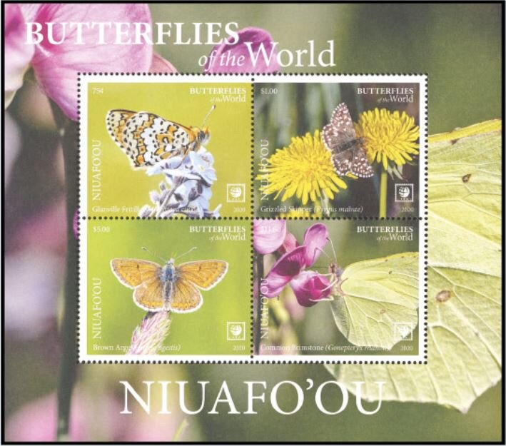 Butterflies of the World