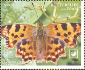 Stamp, Comma (Polygonia c-album), Niuafo'ou,  , Butterflies